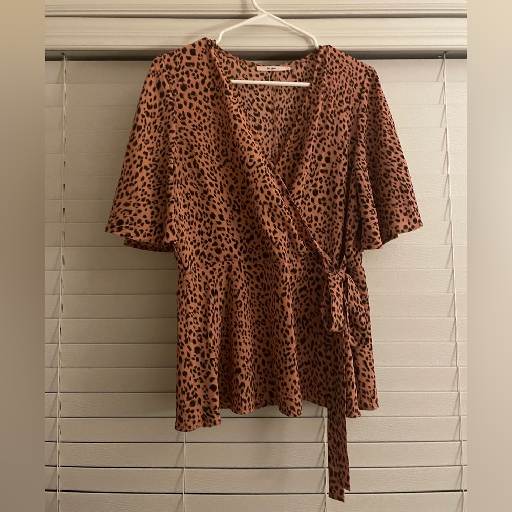 Francesca‘s Pink Blouse
